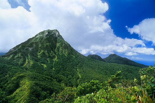 Morne Trois Pitons NP, Dominica