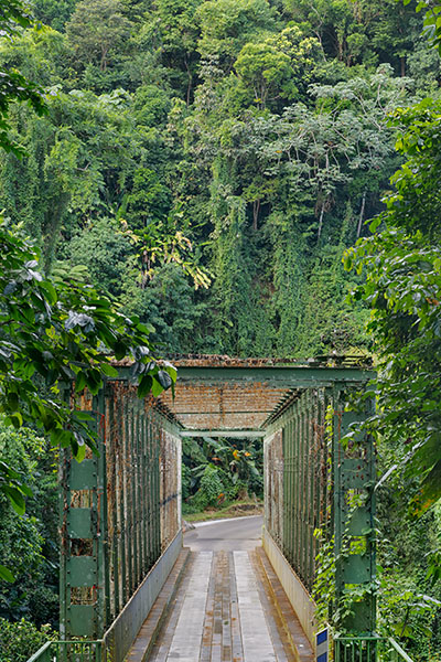 Picturesque Bridge Of Grand Riviere, Martinique