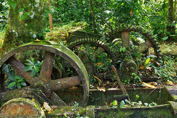Ruins Of A Rum Distillery, Martinique