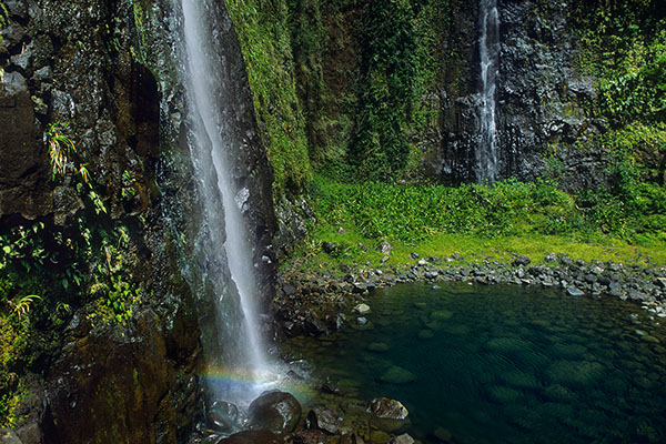 Waterfall, Bébour-Bélouve Forest, Reunion