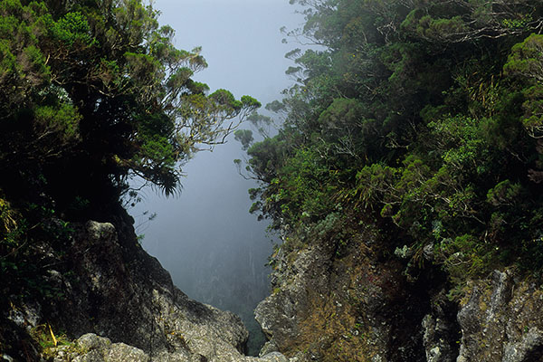 Takamaka Valley, Reunion