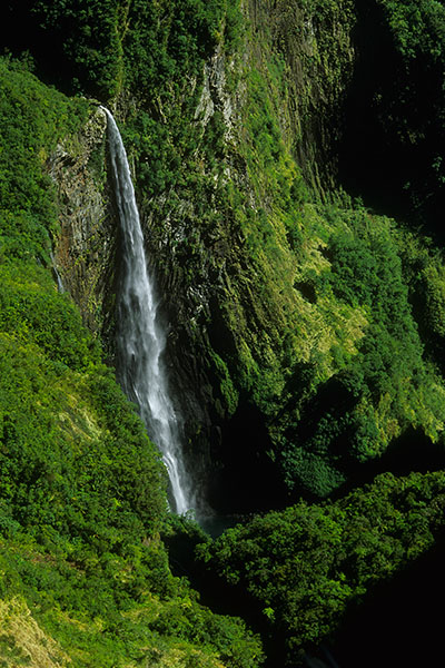 Waterfall, Trou De Fer, Reunion