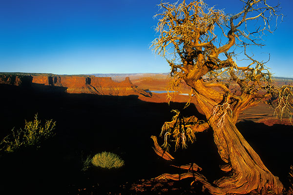 Dead Horse Point SP, USA