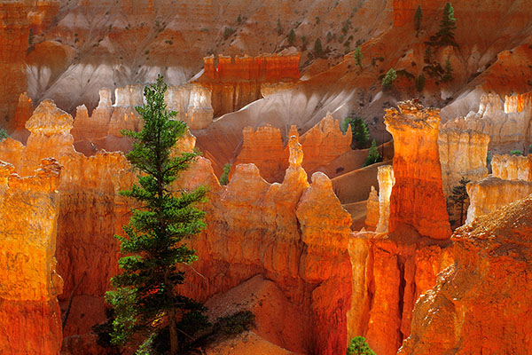 Bryce Canyon NP, USA