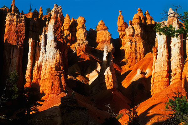 Bryce Canyon NP, USA