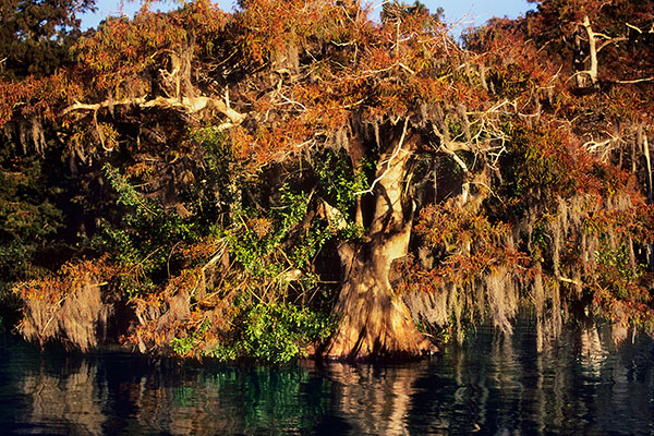 Blue Lake, Florida, USA