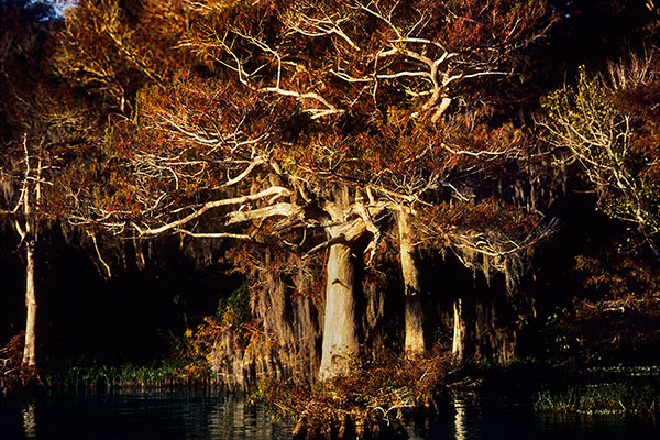 Blue Lake, Florida, USA