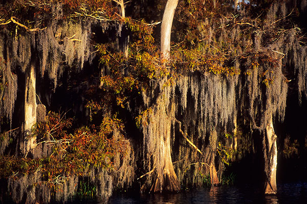 Blue Lake, Florida, USA