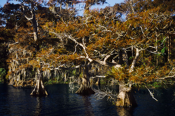 Blue Lake, Florida, USA