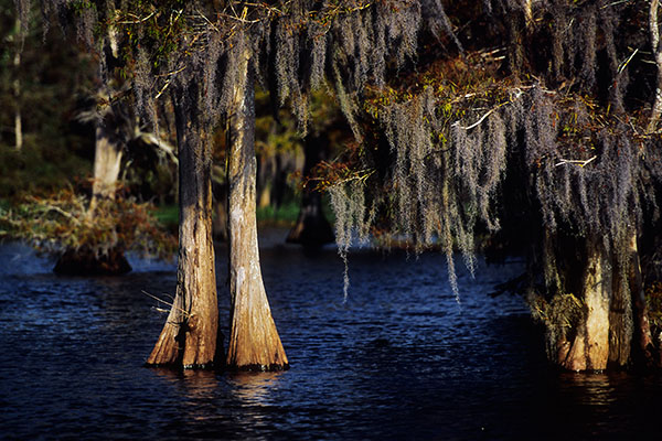 Blue Lake, Florida, USA