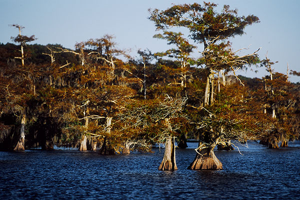 Blue Lake, Florida, USA