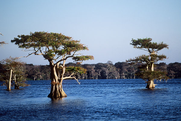 Blue Lake, Florida, USA