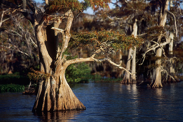 Blue Lake, Florida, USA